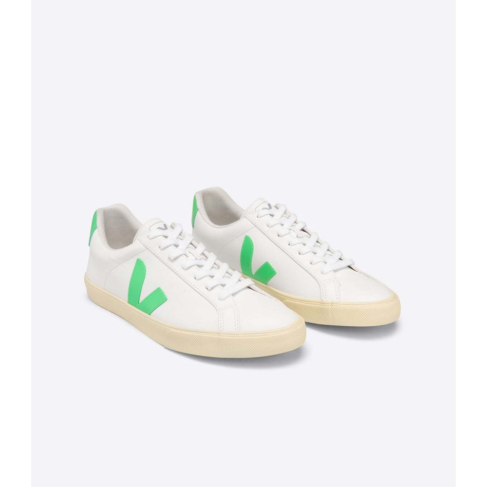 White/Green Women's Veja ESPLAR CHROMEFREE Sneakers | AU 612NWY